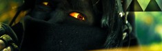 Zelda – Link’s Shadow
