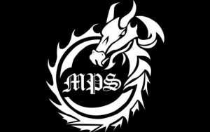 Mehr über den Artikel erfahren MPS Karlsruhe 29.07.2017